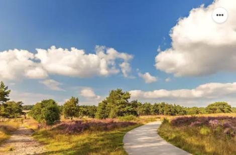 Park Konijnenburg Villa Putten Eksteriør billede